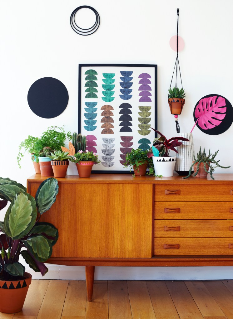 Seventy Tree 46625 copy