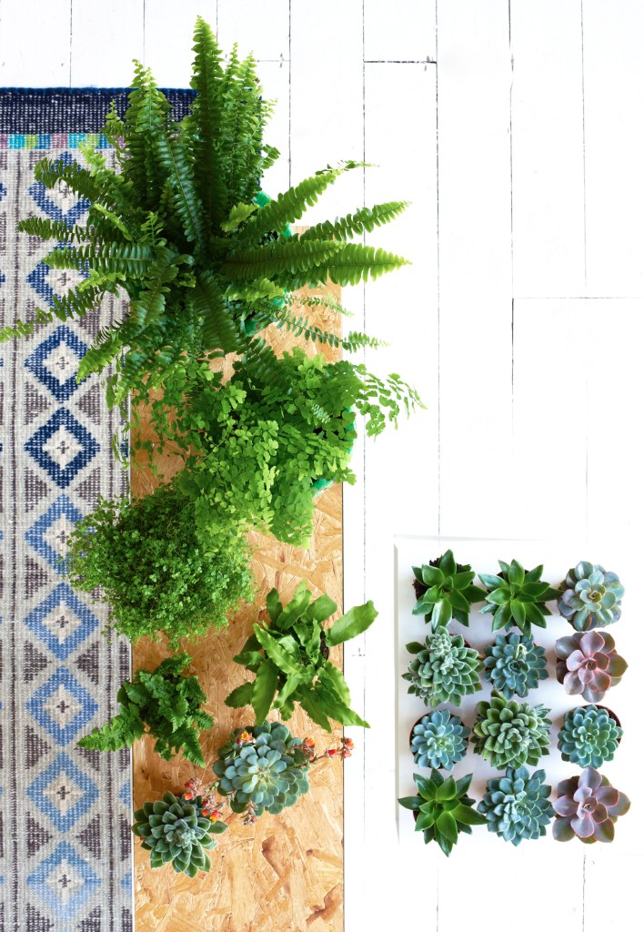 You Mag Spring Update 2014 39813