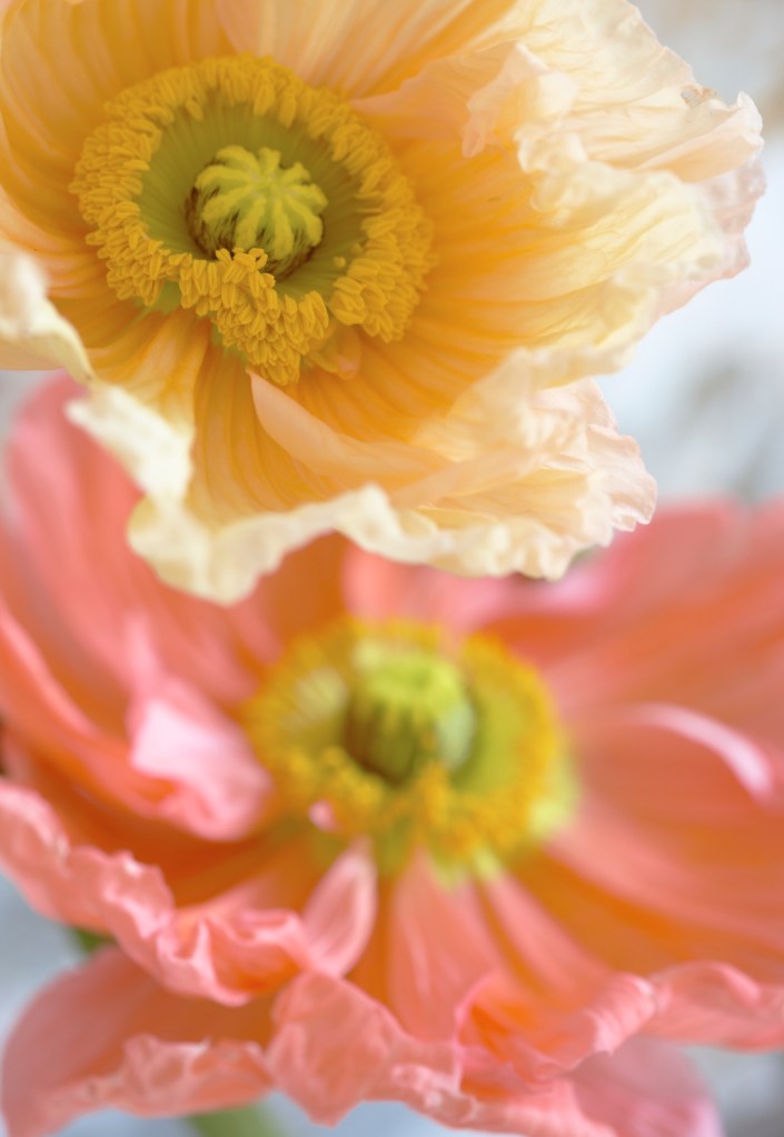 You Mag Spring Update 2014 39859