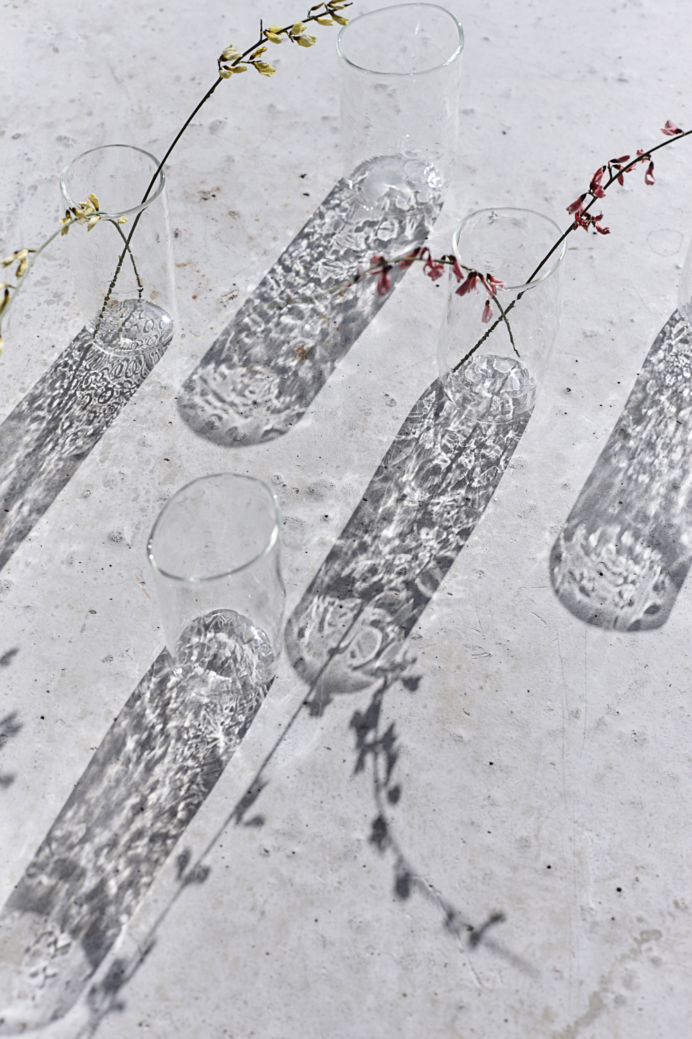 Glasses in sunlight. Photography for the tate Galleries by still life photographer Joanna Henderson