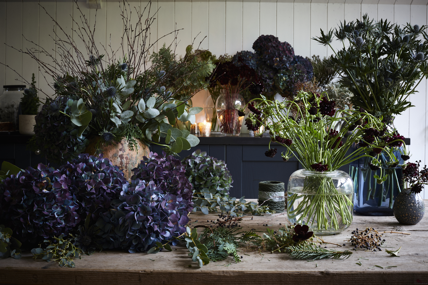 Phillippa Craddock0553